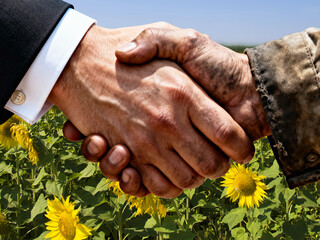 A close-up of a handshake in a sunflower field. A businessman and a worker sign a business contract. Agricultural enterprise concept.