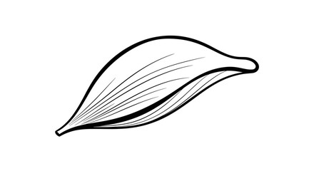 Illustration of a single muscle fiber with striations.