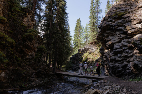 Family walking along a small wooden bridge crossing a river in the woods