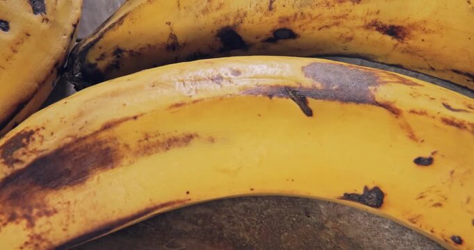 Overhead view, tour view of ripe bananas on a natural surface.