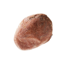 One natural cocoa bean isolated on white