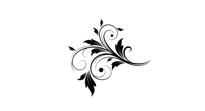 Elegant Single Black Swirling Floral Element Design on Isolated White Background