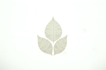 Three Dried Leaves Forming a Natural Motif