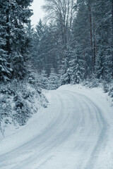 Obraz premium Vertical Snow-covered road trough winter forest