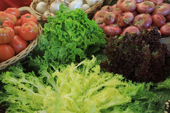 variedad de escarola a la venta en un mercado del pa&iacute;s vasco euskadi 4M0A1285-as26