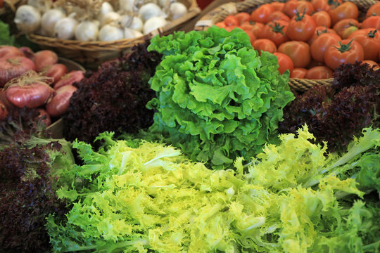 variedad de escarola a la venta en un mercado del pa&iacute;s vasco euskadi 4M0A1289-as26