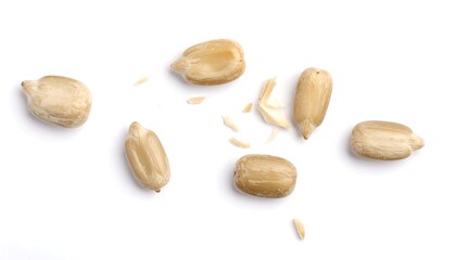 Scattered, peeled sunflower seeds on a white backdrop. Close-up studio shot