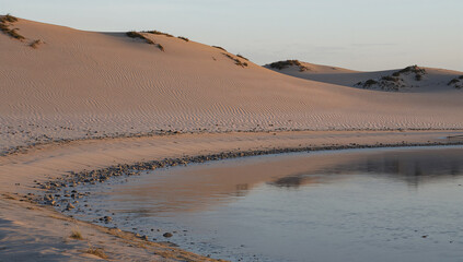 冬の海辺で風紋の砂丘と穏やかな水面が静かに呼応する