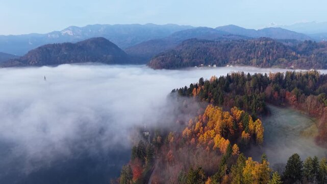Thick fog covering Lake Bled valley with colorful autmn forest in foreground aeial view