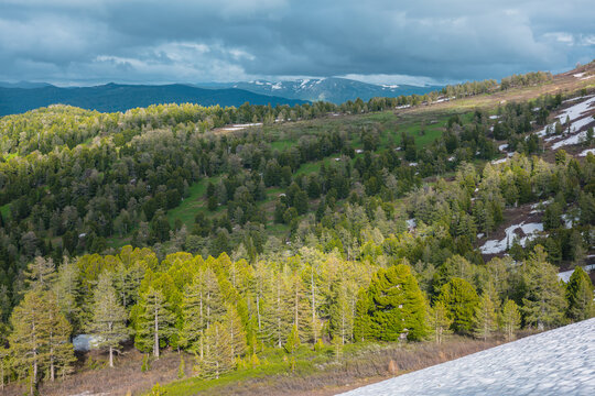Scenic aerial top view from above to hilly woody vastness and dark silhouettes of big mountains with snow far away. Sunlight and shadows of clouds on forest hills under dramatic sky in cloudy weather.