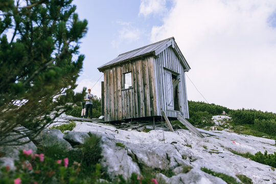 Verlassene verwitterte Holzh&uuml;tte auf felsigem Dachstein-Plateau mit Latschenkiefern im Sommer