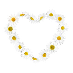Heart made of daisies isolated on white. Romantic event decoration © New Africa