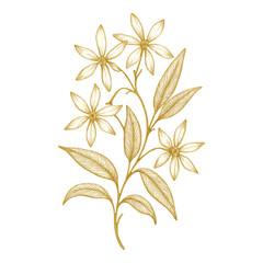 Naklejka premium PNG Elegant gold floral illustration.