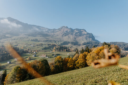 Goldener Herbst in Amden mit leuchtenden Laubb&auml;umen, Schweizer Bauernh&ouml;fen und dem Speer im Morgendunst