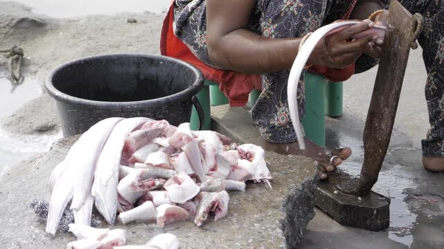 Vibrant Fish Market  A Journey Through Colors and Flavors