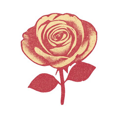 Naklejka premium PNG Vintage rose illustration print