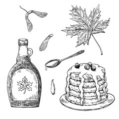 Maple syrup hand-drawn illustration in sketchy style. Black and white vector design elements.