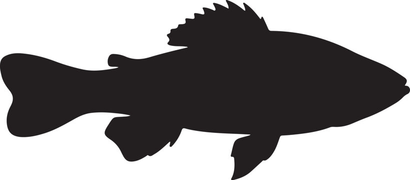 Gobies Silhouette on White Background