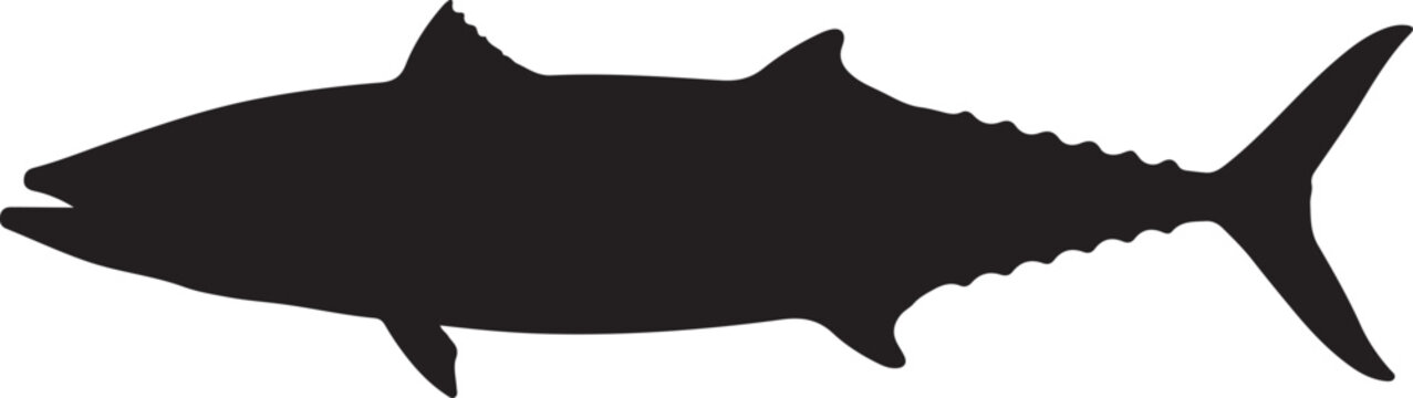King Mackerel Silhouette on White Background