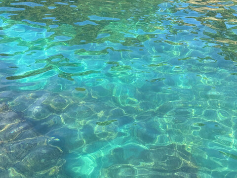 Emerald green ocean water surface.