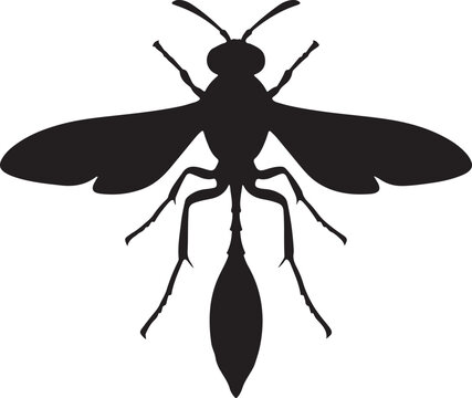 Mud Dauber Silhouette on White Background