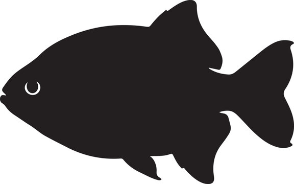 Pacu Silhouette on White Background
