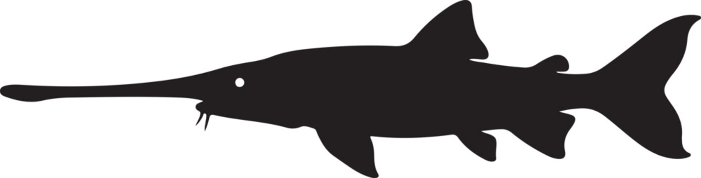 Paddlefish Silhouette on White Background