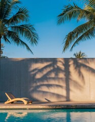 Minimalist swimming pool with palm tree shadow and concrete wall

