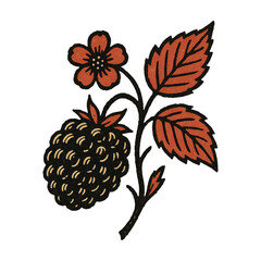 Fototapeta premium PNG Vintage botanical berry illustration