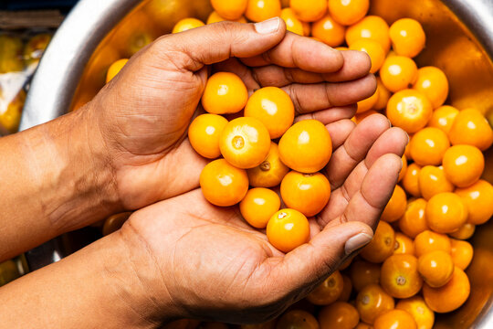 Cape gooseberries in the hands of a farmer in a Colombian market - Physalis peruviana.
