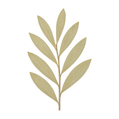 Naklejka premium PNG Elegant golden leaf illustration