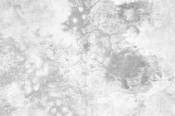 Fototapeta premium Abstract background concrete wall. Background and Texture