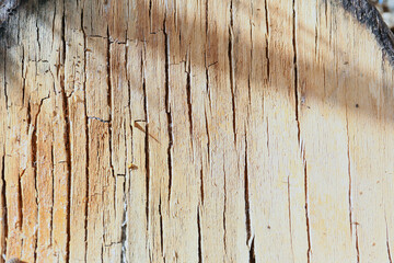 texture background of brown color cracked wooden plank with lights and shadows