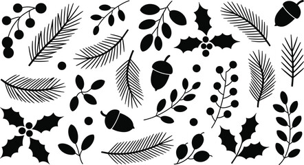 Christmas winter botanical elements set featuring pine branches holly leaves berries acorns festive nature silhouettes illustration © LatifunNahar