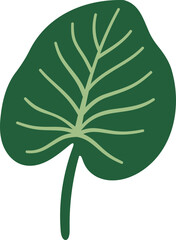 몬스테라_열대식물