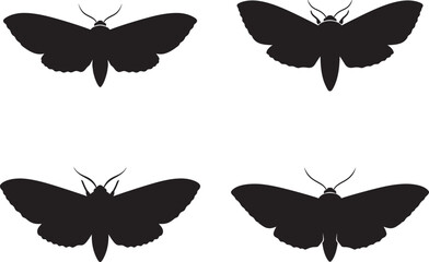 Silhouette of four black butterflies on white background