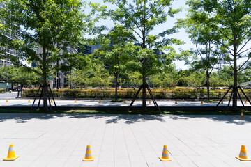 City streets and modern office buildings