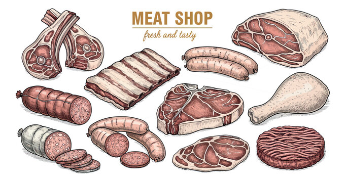 Hand drawn vintage meat set featuring raw cuts of beef, lamb, and poultry, along with sausages and salami, for butchery and food design