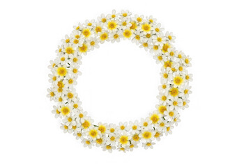 Obraz premium Daisy flower wreath circle