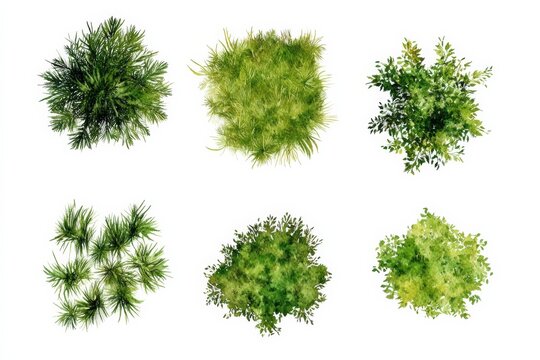 Watercolor top view of green grass and tree foliage for landscape design and planning