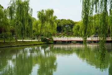 Obraz premium lake in the park