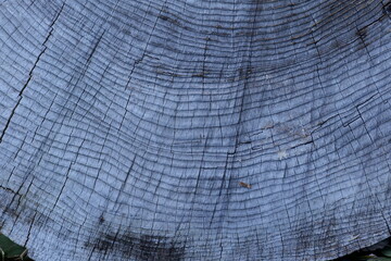 Fototapeta premium KYOTO GRUNGE TEXTURE