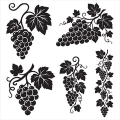Grapes SVG File