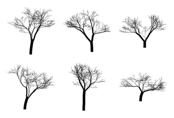 Obraz premium Collection of bare tree silhouettes isolated on a white background