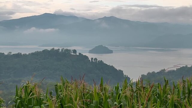 Panning vertical view of Jatigede Dam surrounded by misty mountains and corn fields in West Java, Indonesia.