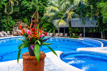 Beautiful floral decor near a water pool in a tropical hotel