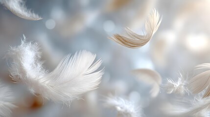 Obraz premium Soft white feathers falling slowly, airy and light, ethereal background