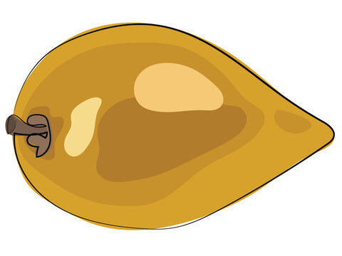 Canistel in a continuous line art style.