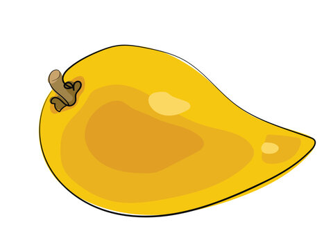 Canistel in a continuous line art style.