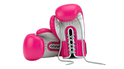 Pink Boxing Gloves